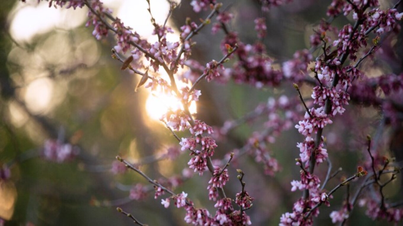 طقس معتدل مع درجات حرارة تصل إلى ٢٣ درجة مئوية في اتيكا