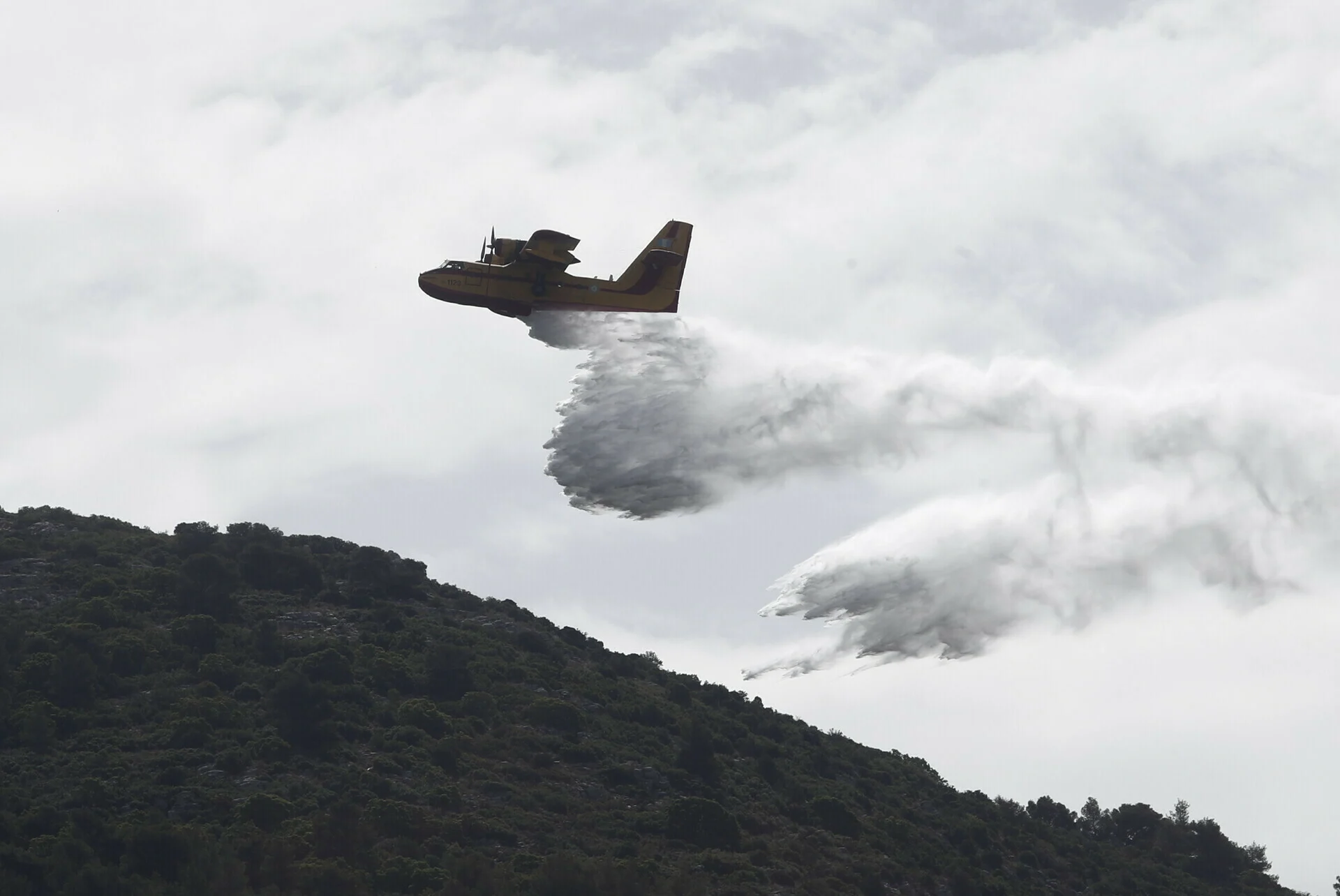 حريق في أخايا: اعتقال رجل يبلغ من العمر ٥١ عاماً