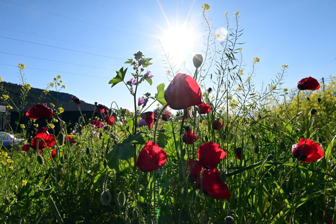 الطقس: احتمال سقوط أمطار و انخفاض في درجات الحرارة في يوم الجمعة العظيمة في العاصمه