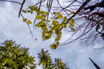 الطقس يتغير: أمطار و انخفاض في درجة الحرارة بعد الظهر هذا ما تتوقعه الأرصاد الجوية