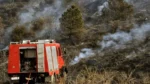 إدارة الإطفاء: ٣٧ حريقًا في الغابات الزراعية خلال الأربع و العشرين ساعة الماضية