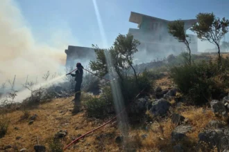 بدأ الحريق في أنافيسوس، دون وجود جبهة نشطة، في سيارة وامتد إلى نباتات منخفضة.                                                        