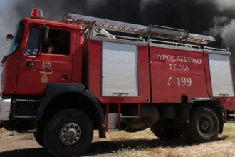إلقاء القبض على ثلاثة قاصرين بتهمة إشعال حريق في غابة غالاتسي - حيث ألقوا مفرقعات نارية