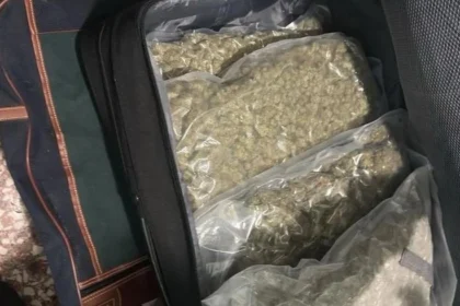 خمسة أتراك كانوا يزرعون القنب و يتاجرون به في إكسارخيا - تم ضبط ما يقرب من ١٠ كيلوغرامات