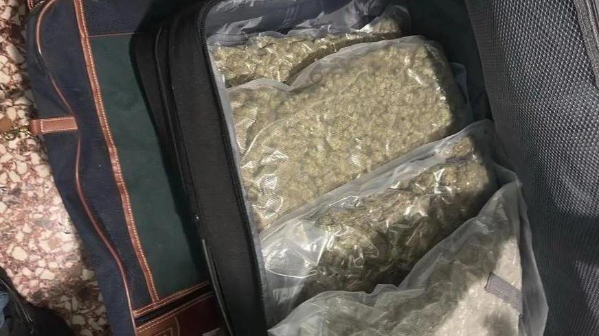 خمسة أتراك كانوا يزرعون القنب و يتاجرون به في إكسارخيا - تم ضبط ما يقرب من ١٠ كيلوغرامات