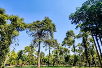الطقس: مشمس مع درجات حرارة مرتفعة في معظم أنحاء البلاد